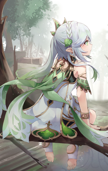 Anime picture 1976x3124 with genshin impact nahida (genshin impact) megu (pixiv9460065) single long hair tall image highres sitting green eyes looking away silver hair full body outdoors braid (braids) profile pointy ears from behind side ponytail crown braid tree sitting