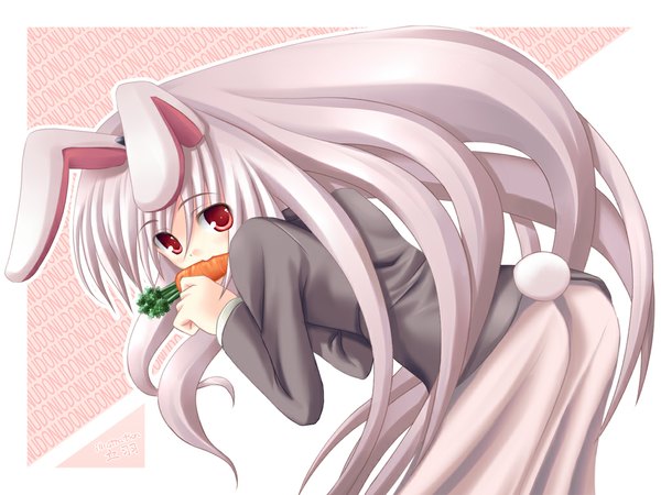 Anime-Bild 1024x768 mit touhou reisen udongein inaba single looking at viewer fringe red eyes white background holding signed tail animal tail leaning bunny ears leaning forward mouth hold border bunny girl pink background bunny tail outline