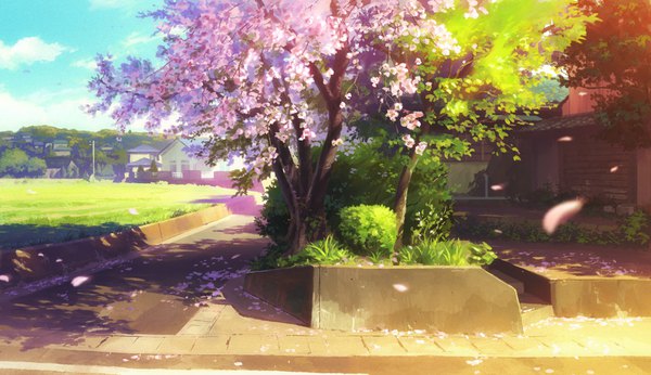 Anime picture 1532x884 with original bozu (ogiyama) wide image shadow cherry blossoms no people landscape plant (plants) petals tree (trees) building (buildings) grass house road