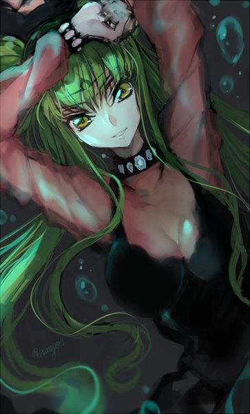 Anime picture 500x825 with bishoujo senshi sailor moon code geass sunrise (studio) toei animation c.c. creayus single long hair tall image looking at viewer fringe breasts simple background smile large breasts twintails green eyes signed yellow eyes cleavage