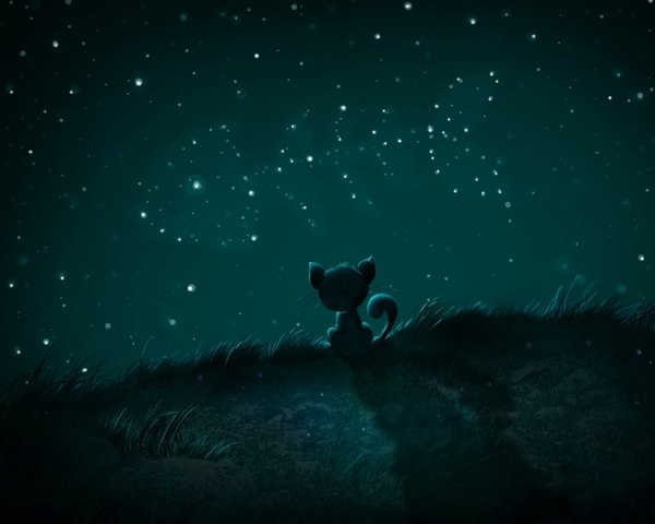 Anime picture 1280x1024 with from behind night constellation dreaming plant (plants) star (stars) cat grass fish (fishes)
