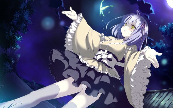 Anime picture 2048x1280 with irotoridori no sekai shikishima kyou shida kazuhiro highres short hair wide image yellow eyes game cg purple hair night girl thighhighs white thighhighs insect butterfly moon