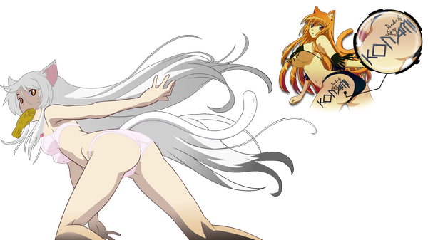 Anime picture 2000x1125 with bakemonogatari shaft (studio) monogatari (series) hanekawa tsubasa black hanekawa konamixx (artist) single long hair highres light erotic wide image animal ears yellow eyes tail animal tail grey hair cat ears cat tail underwear only transparent background