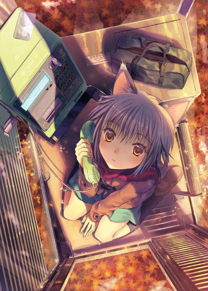 Anime picture 700x979 with suzumiya haruhi no yuutsu kyoto animation nagato yuki kichiroku single tall image looking at viewer blush short hair animal ears yellow eyes silver hair tail animal tail from above cat ears cat girl kemonomimi mode nekomimi mode girl