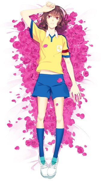 Anime picture 1063x1890 with inazuma eleven shindou takuto rozer tall image short hair brown hair lying boy uniform petals socks shorts rose (roses) gym uniform