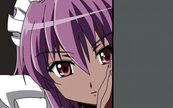 Anime picture 1920x1200 with shakugan no shana j.c. staff wilhelmina carmel highres wide image maid close-up vector