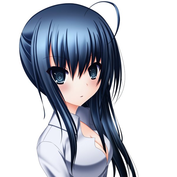 Anime picture 3000x3000 with original toyokawa itsuki (p mayuhime) single long hair looking at viewer blush fringe highres breasts blue eyes simple background white background blue hair cleavage ahoge girl shirt