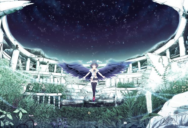 Anime picture 1920x1303 with touhou shameimaru aya windfeathers single highres short hair black hair red eyes night sky girl thighhighs skirt black thighhighs plant (plants) hat miniskirt shirt wings scarf star (stars)