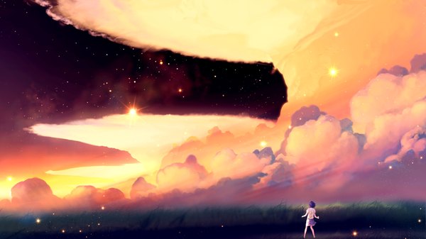 Anime picture 4000x2250 with original akio-bako (artist) single highres short hair black hair wide image absurdres sky cloud (clouds) wind from behind night night sky scenic fog no face girl skirt plant (plants)