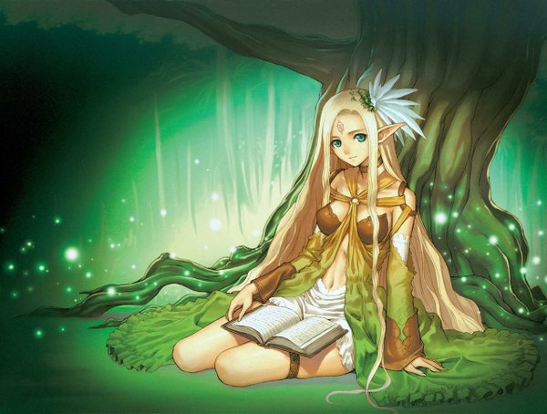 Anime picture 1280x969 with shining (series) shining wind blonde hair green eyes very long hair pointy ears elf book (books)