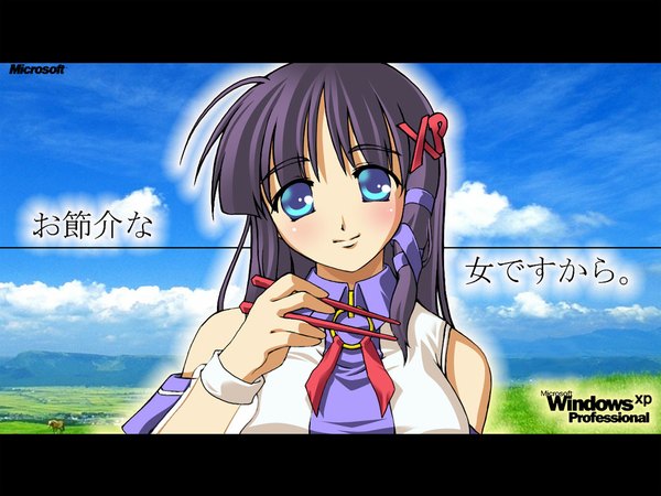 Anime picture 1024x768 with os-tan xp-tan (saseko) blue eyes black hair cloud (clouds) braid (braids) single braid girl plant (plants) grass vest chopsticks