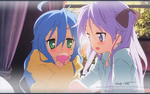 Anime picture 2560x1600 with lucky star kyoto animation izumi konata hiiragi kagami highres wide image girl