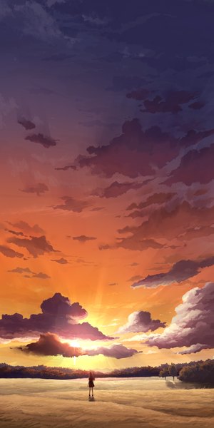 Anime picture 1000x2000 with original juuyonkou single long hair tall image sky cloud (clouds) black eyes evening sunset scenic silhouette girl skirt plant (plants) tree (trees)