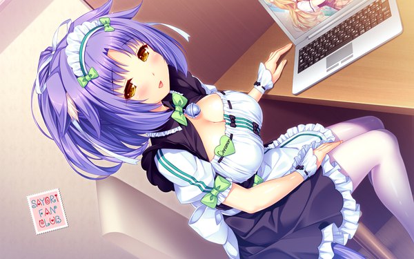 Anime picture 1920x1200 with neko paradise neko works (studio) maple (sayori) cinnamon (sayori) sayori looking at viewer blush highres short hair breasts open mouth light erotic smile large breasts sitting animal ears yellow eyes cleavage purple hair indoors