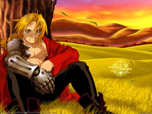 Anime picture 1600x1200 with fullmetal alchemist studio bones edward elric sandy (artist) arakawa hiromu single long hair blonde hair yellow eyes braid (braids) light smile landscape mechanical parts boy plant (plants) tree (trees) cloak