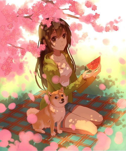 Anime picture 1200x1440 with original lan jue single long hair tall image smile brown hair sitting holding brown eyes bent knee (knees) sunlight open clothes open jacket cherry blossoms shiba inu girl flower (flowers) plant (plants) animal
