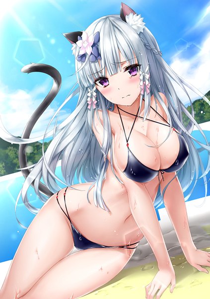 Anime picture 595x842 with original kyariko single long hair tall image looking at viewer blush fringe breasts light erotic large breasts sitting purple eyes bare shoulders animal ears payot sky silver hair cloud (clouds) outdoors