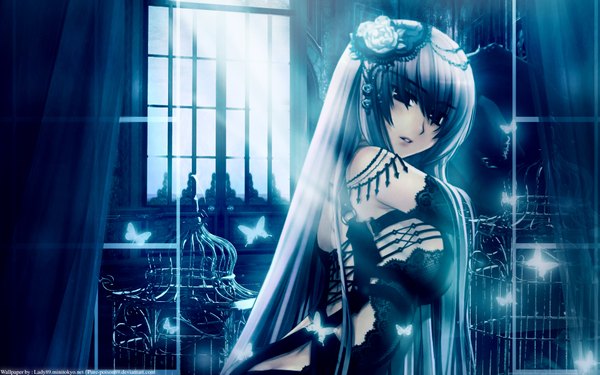 Anime picture 1920x1200 with aquarian age kawaku long hair highres wide image hair flower girl hair ornament window insect butterfly cage