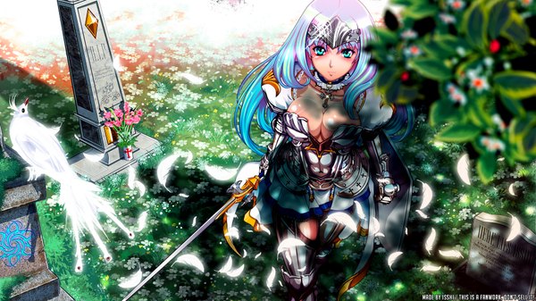 Anime picture 1920x1080 with queen's blade annelotte isshi single long hair highres wide image green eyes multicolored hair from above sunlight girl flower (flowers) weapon animal sword armor bird (birds) feather (feathers) cross