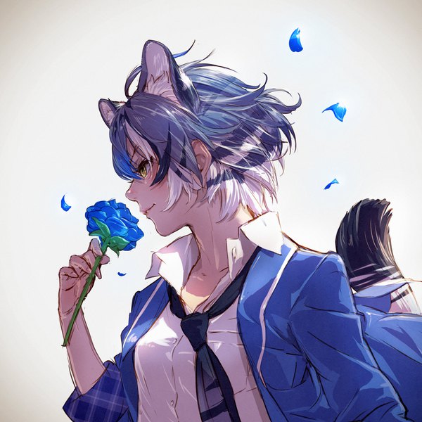 Anime picture 1920x1920 with kemono friends maltese tiger (kemono friends) takami masahiro single highres short hair simple background animal ears yellow eyes blue hair looking away ahoge tail animal tail profile multicolored hair wind open collar tiger ears tiger tail