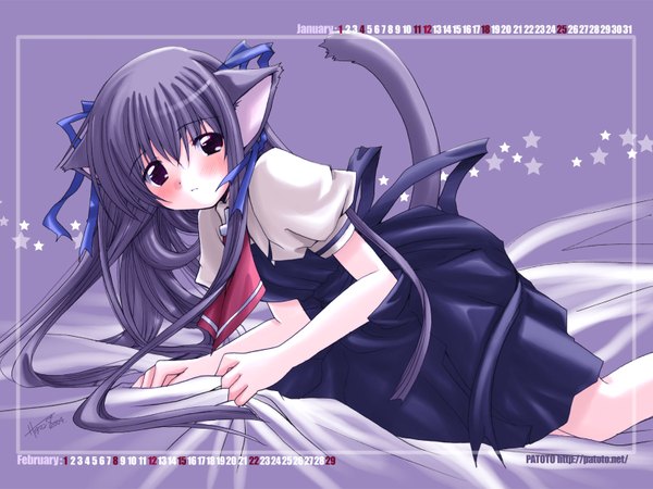 Anime picture 1600x1200 with air key (studio) tohno minagi patoto single long hair looking at viewer fringe hair between eyes red eyes signed animal ears purple hair tail animal tail cat ears cat girl cat tail purple background kemonomimi mode