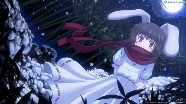 Anime picture 1920x1080 with touhou inaba tewi iyamato single highres short hair black hair red eyes wide image night bunny ears girl tree (trees) scarf moon forest