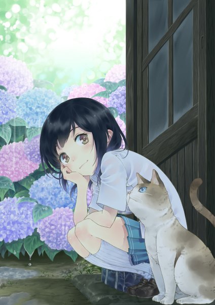 Аниме картинка 1753x2480 с оригинальное изображение tokada длинные волосы высокое изображение высокое разрешение чёрные волосы сидит карие глаза дождь девушка юбка форма цветок (цветы) школьная форма мини-юбка кот (кошка) гортензия