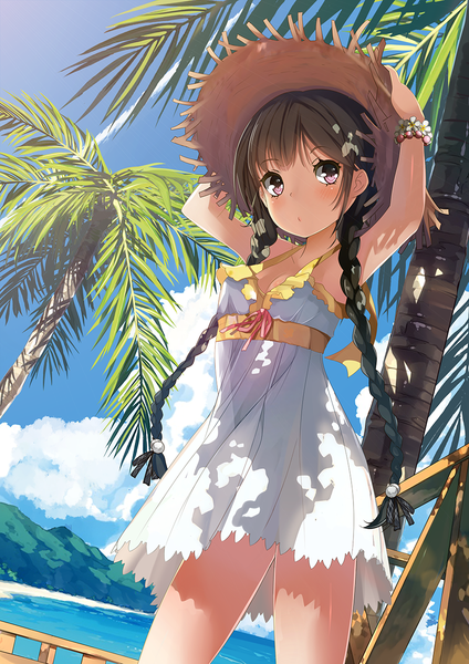 Anime picture 905x1280 with original icywood single long hair tall image looking at viewer black hair brown eyes sky cloud (clouds) braid (braids) girl dress plant (plants) hat tree (trees) sundress palm tree straw hat