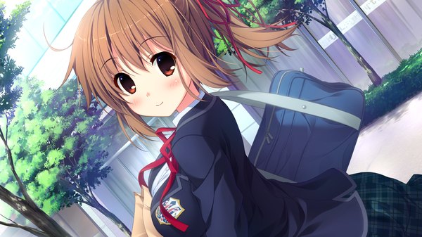 Anime picture 1280x720 with love sweets ichinose yui single looking at viewer blush short hair red eyes brown hair wide image game cg light smile girl uniform ribbon (ribbons) plant (plants) hair ribbon school uniform tree (trees) school bag