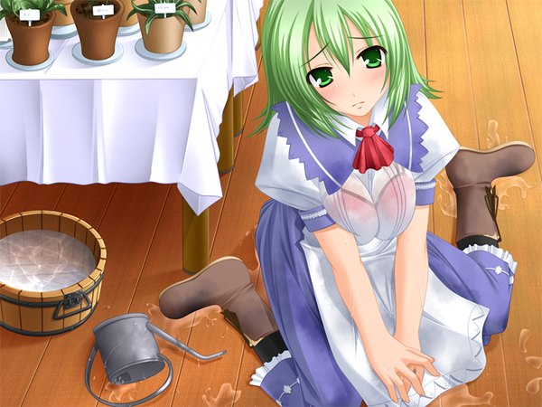 Anime picture 1200x900 with hidamari no hana (game) breasts light erotic green eyes game cg green hair maid wet girl