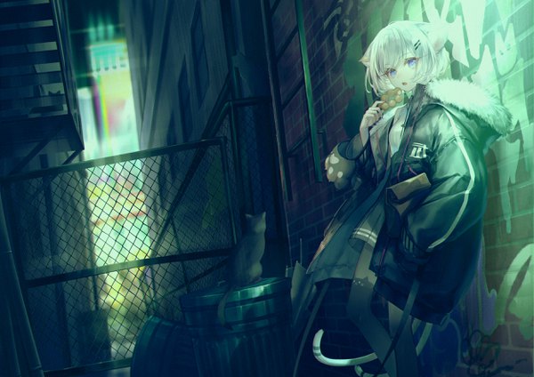 Anime picture 2500x1768 with original yoggi (stretchmen) single looking at viewer fringe highres short hair open mouth blue eyes standing holding animal ears outdoors white hair tail long sleeves animal tail cat ears cat girl cat tail