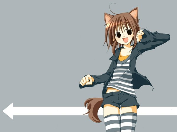 Anime picture 1024x768 with single brown hair animal ears ahoge cat ears wallpaper striped thighhighs shorts striped thighhighs directional arrow