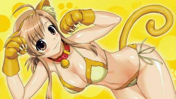 Anime picture 1400x787 with nyan koi mizuno kaede light erotic brown hair wide image brown eyes animal ears tail cat girl cosplay yellow background girl swimsuit bikini collar