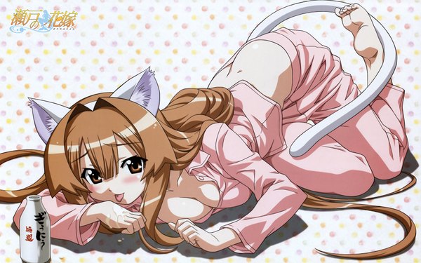 Anime picture 1920x1200 with seto no hanayome seto san highres wide image animal ears cat girl girl