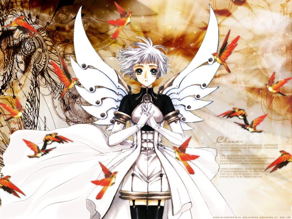 Anime picture 1280x960 with clover (manga) clamp suu (clover) animal wings bird (birds) clover (plant)