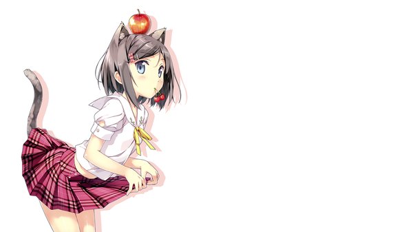 Anime picture 3378x1900 with hentai ouji to warawanai neko j.c. staff tsutsukakushi tsukiko kantoku single looking at viewer blush highres short hair blue eyes simple background wide image white background animal ears tail grey hair cat ears shadow cat girl skirt lift