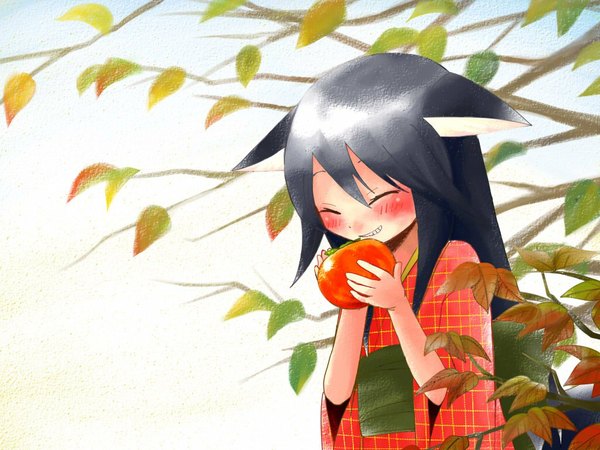 Anime picture 1024x768 with yusorate blush black hair animal ears grin food fruit persimmon