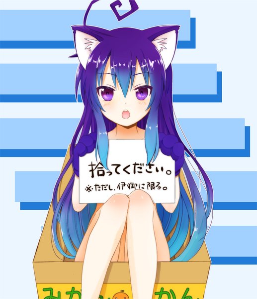 Anime picture 800x928 with acchi kocchi miniwa tsumiki kisaragi ichigo single long hair tall image blush fringe open mouth light erotic simple background hair between eyes white background sitting purple eyes animal ears payot blue hair purple hair ahoge