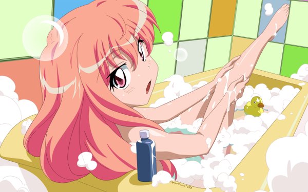 Anime picture 2560x1600 with zero no tsukaima j.c. staff louise francoise le blanc de la valliere highres light erotic wide image vector bath