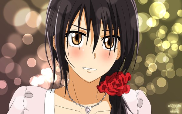 Anime picture 2560x1600 with kaichou wa maid-sama! ayuzawa misaki blush highres black hair wide image brown eyes girl hair ornament chain locket