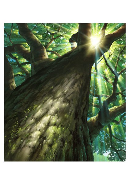 Anime picture 1158x1637 with original hariken tall image sunlight border no people sunbeam foreshortening plant (plants) tree (trees) forest sun