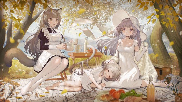 Anime picture 7680x4320 with original oli long hair looking at viewer fringe highres open mouth brown hair wide image sitting brown eyes signed animal ears looking away absurdres silver hair full body outdoors tail lying