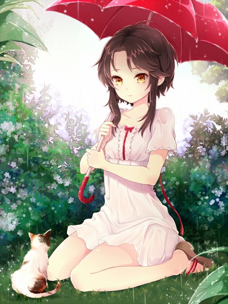 Anime picture 750x1000 with sword girls sita vilosa millgua single tall image short hair brown hair yellow eyes rain girl dress flower (flowers) plant (plants) animal umbrella cat sundress sandals platform footwear