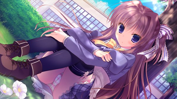 Anime picture 1024x576 with kimi e okuru, sora no hana azuse matsuri yukie (peach candy) long hair light erotic brown hair wide image purple eyes game cg one side up pantyshot sitting girl thighhighs skirt uniform underwear panties bow black thighhighs hair bow