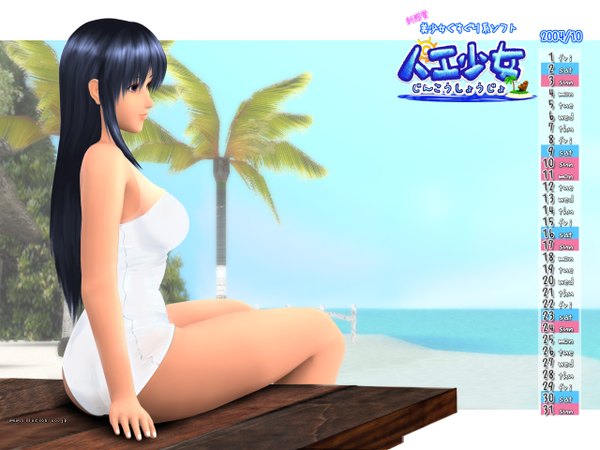 Anime picture 1280x960 with long hair light erotic beach girl swimsuit