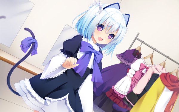 Anime picture 1920x1200 with oizumi 1000-chan kanora single blush fringe highres short hair open mouth smile hair between eyes purple eyes twintails animal ears blue hair looking away white hair indoors tail :d