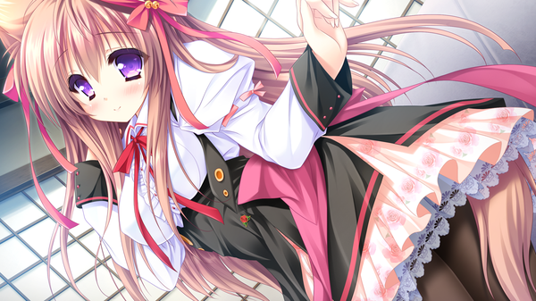 Anime picture 1280x720 with tayutama tayutama 2 lump of sugar mito mashiro single long hair blush brown hair wide image purple eyes animal ears game cg tail animal tail looking back girl dress uniform ribbon (ribbons) bow