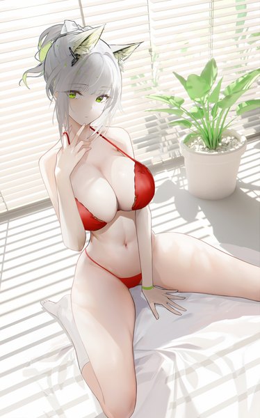 Anime picture 3980x6380 with arknights kal'tsit (arknights) omone hokoma agm single tall image looking at viewer fringe highres short hair breasts light erotic large breasts sitting green eyes animal ears payot absurdres cleavage silver hair ponytail