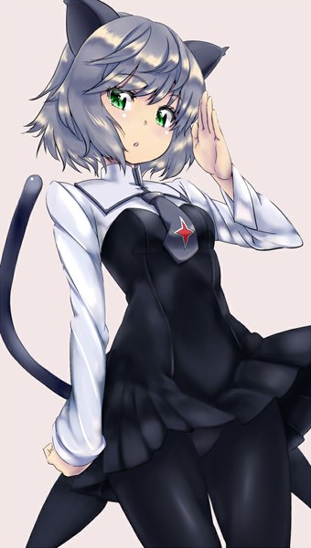 Anime picture 625x1100 with strike witches sanya v. litvyak zizi (zz22) single tall image looking at viewer short hair open mouth light erotic simple background green eyes animal ears tail animal tail grey hair cat ears cat tail girl dress underwear