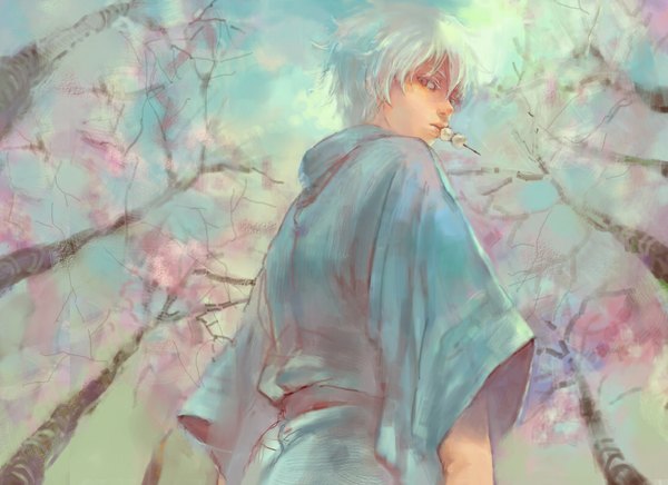 Anime picture 1100x800 with gintama sunrise (studio) sakata gintoki nanapara looking at viewer short hair red eyes white hair traditional clothes japanese clothes looking back from below cherry blossoms eating alternate age younger boy plant (plants) tree (trees) yukata